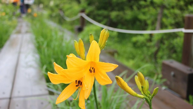 13329464_1787432218155909_8018212316200770599_o