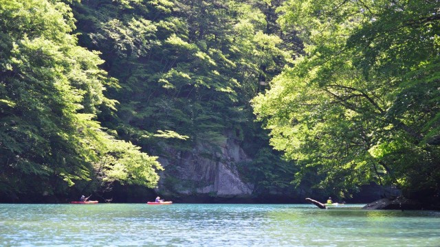 13443139_576360769208034_3482245938805983472_o