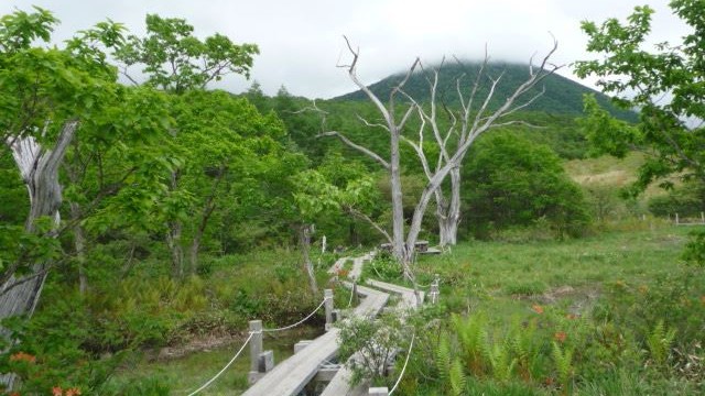 13445508_1037913196301733_5222174889970940940_n