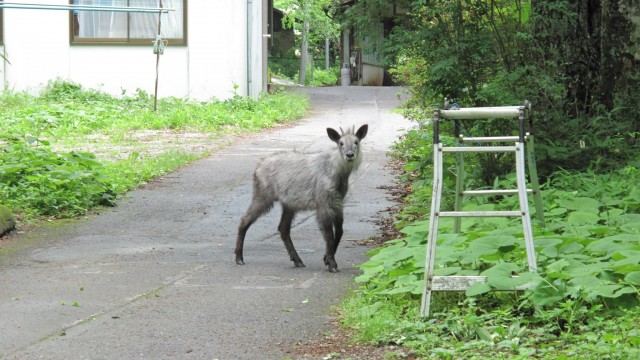 13475175_1744506722428126_4415644463045033978_o