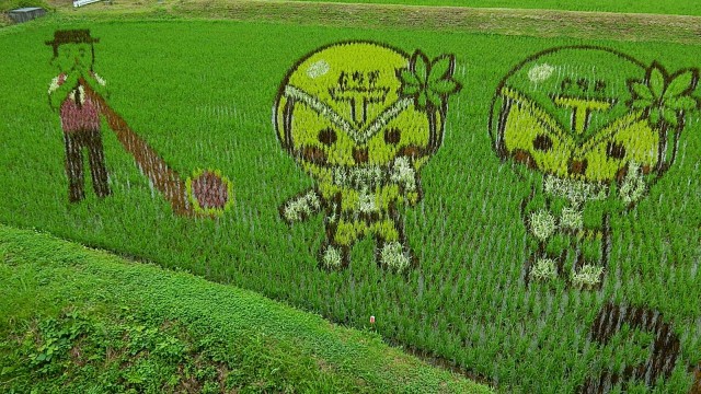 13568902_1025384390850286_7223789136056503822_o