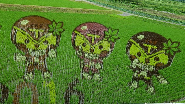 13575927_1025384387516953_4114439844302098671_o