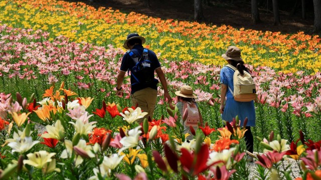 13581918_1750877818457683_2225345634907423568_o