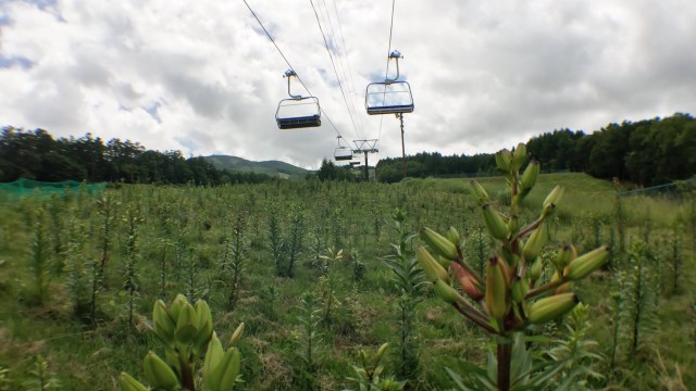 13585158_1148434438549932_5215613103939474520_o