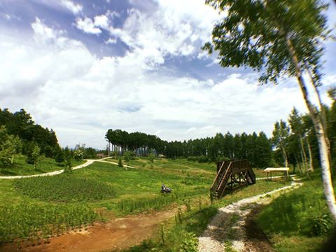 ハンターマウンテンゆりパーク 白樺の丘 展望台 那須塩原の観光情報 公式 ココシル那須塩原