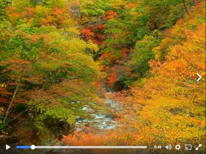 11 2 動画 塩原渓谷 温泉街周辺の紅葉もピークを迎えています 那須塩原の観光情報 公式 ココシル那須塩原