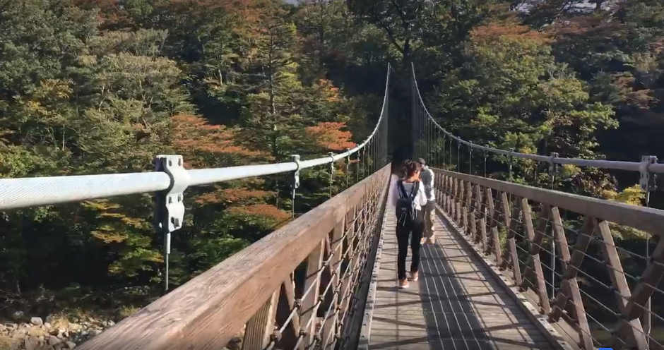 塩釜地区 七ツ岩吊橋の紅葉状況 那須塩原の観光情報 公式 ココシル那須塩原